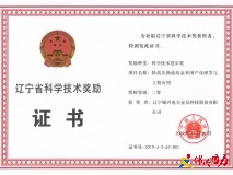 喜訊！公司喜獲2019年度省級(jí)科技進(jìn)步二等獎(jiǎng)